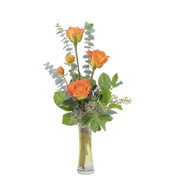 Orange Simplicity