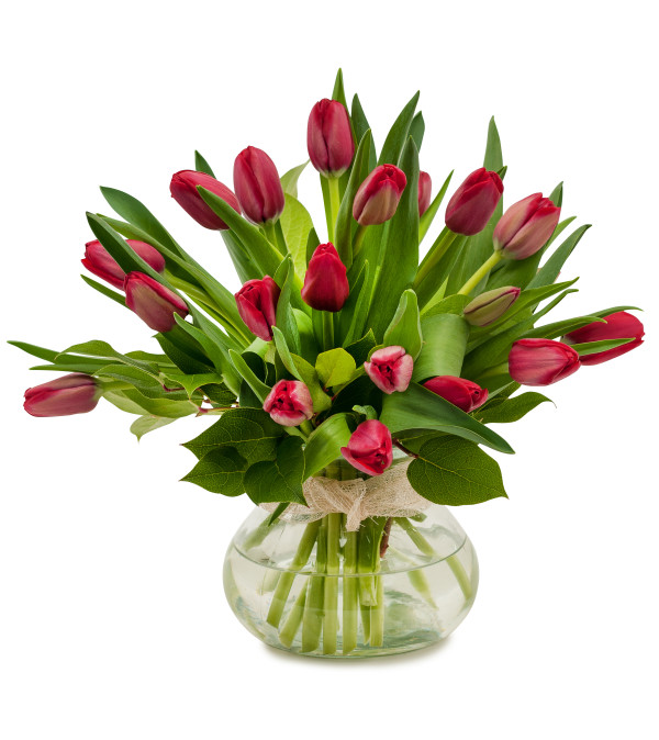 Just Red Tulips