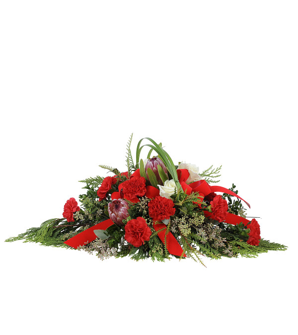 Tidings of Comfort