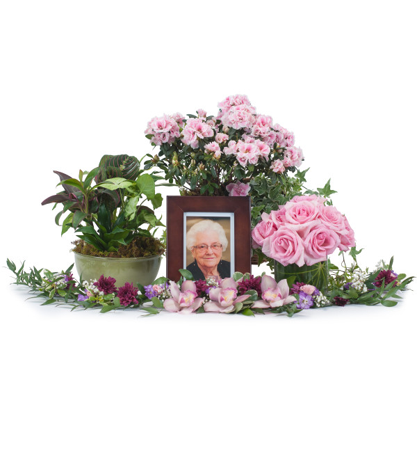 Lovely Lady Tribute
