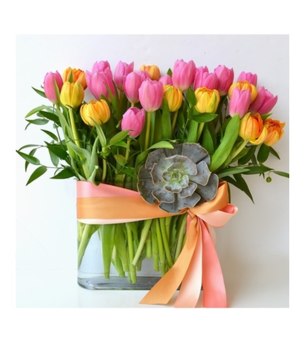 SpringTime Tulip Garden