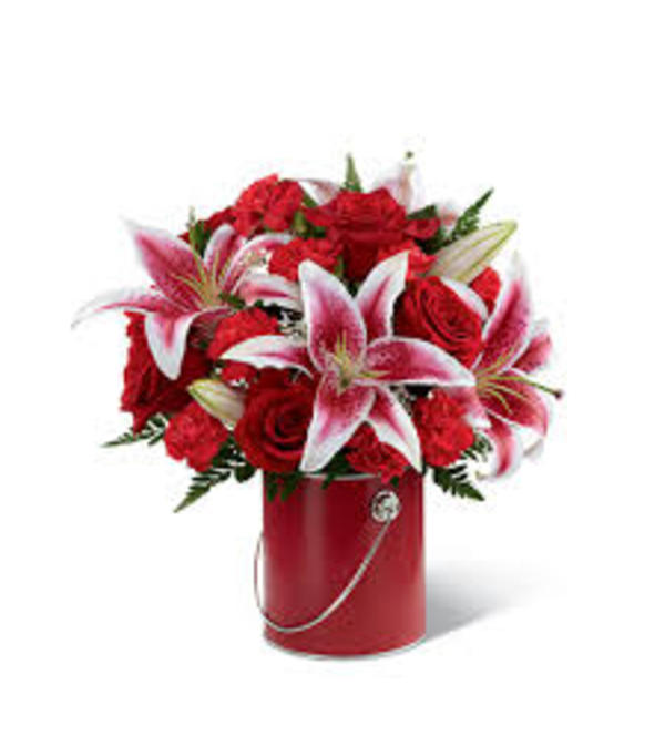 Color Your day with radiance
