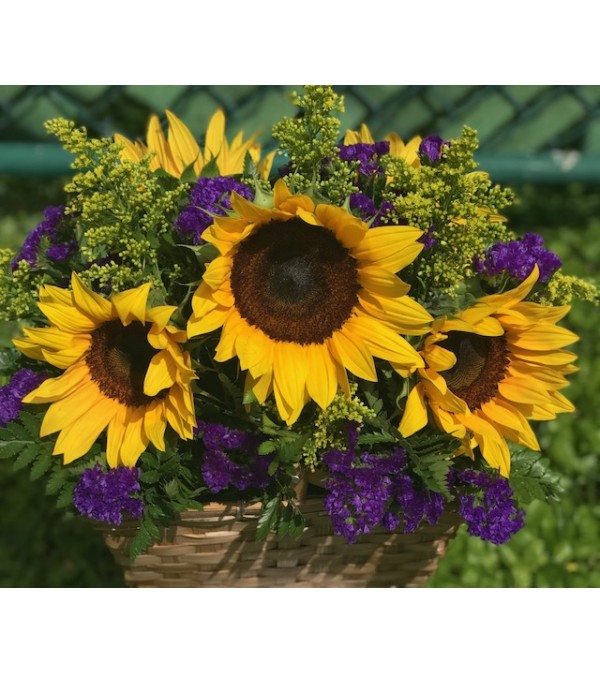 The Sun Basket