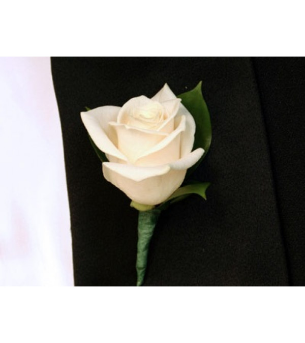 ANY COLOR ROSE BOUTONNIERE TO MATCH. WITH OR WITHOUT BABIES BREAT