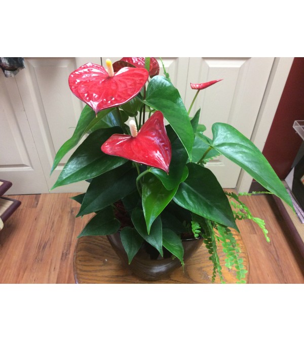 Small boat planter