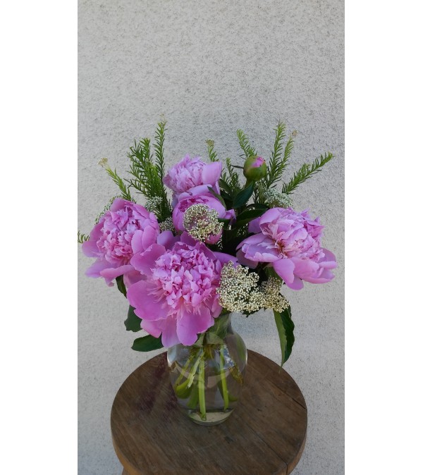 Peony Dream