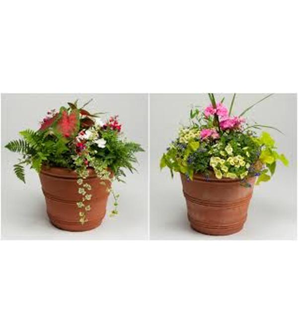 Patio Pot