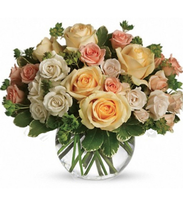 Sweety Roses