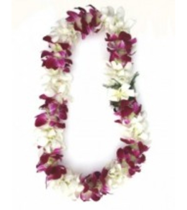 double white and bombay orchid lei
