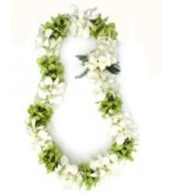 double white and green dendro orchid lei