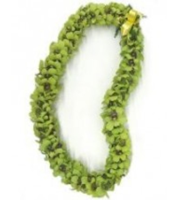Double Green Dendro lei