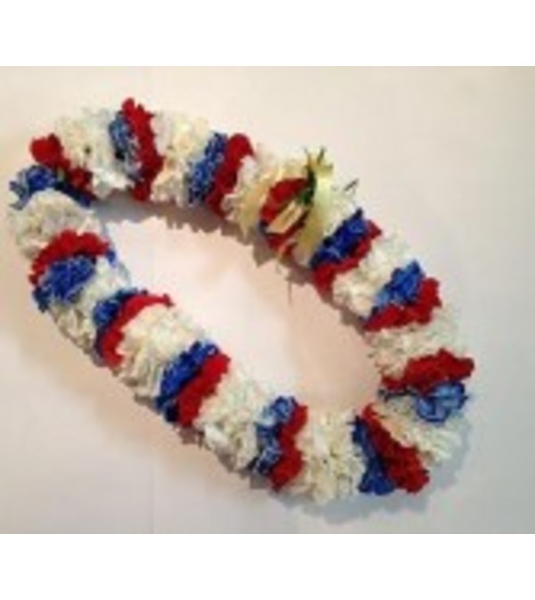 Double red, white and blue carnation lei