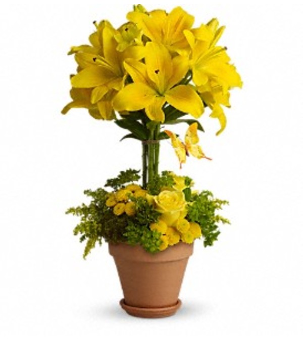 Yellow Fellow Arrangement