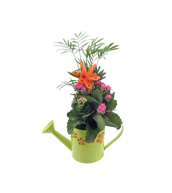 Watering Can Planter