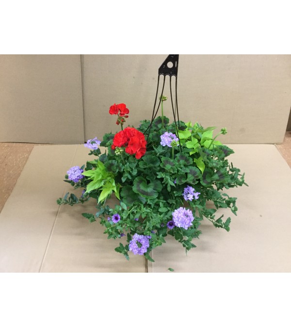 Outdoor Hanging Garden