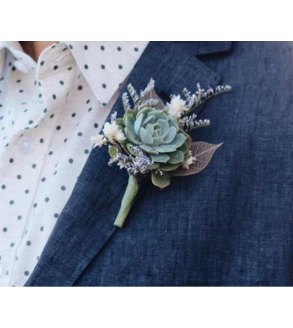 Succulent boutonniere