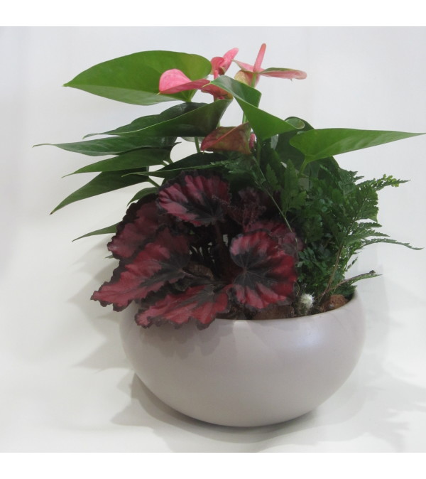 Tropical Delight Planter