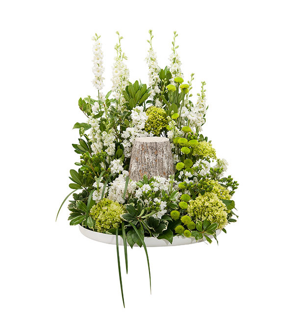 Elegance Surround DW