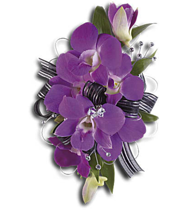 Purple promise Wrislet
