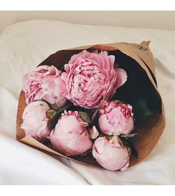 Love, love, love Peonies