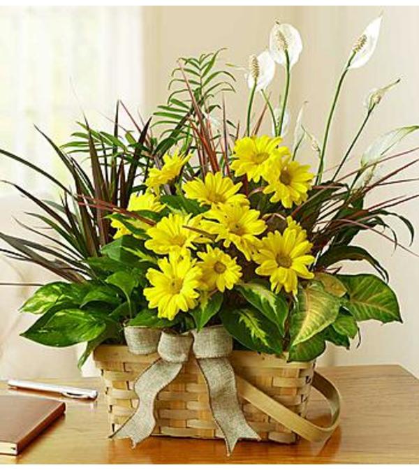 Dish Garden with Fresh Cuts