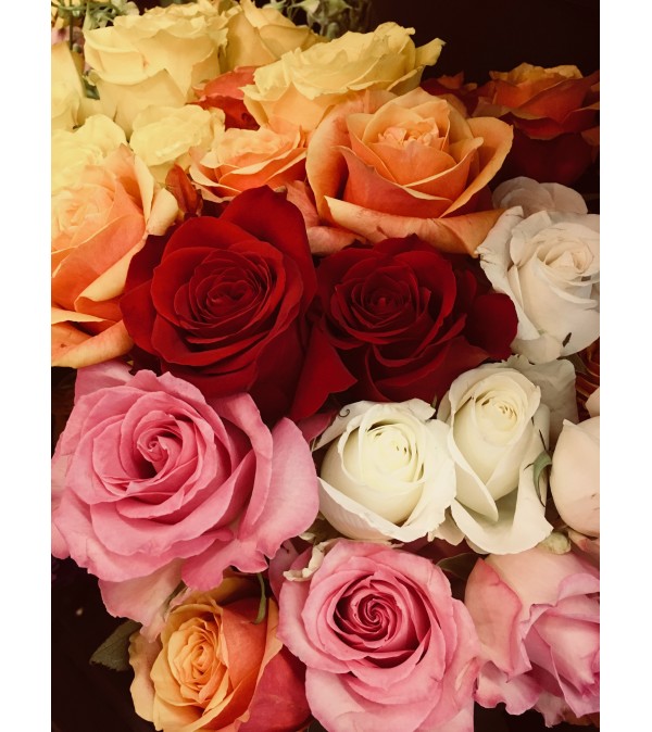 2018 Summer Rose Special