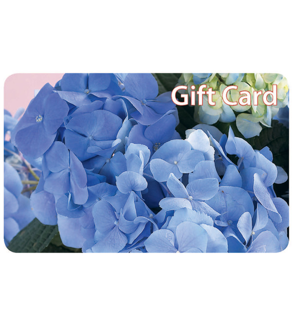 Exceptional Flowers & Gifts- Gift Card