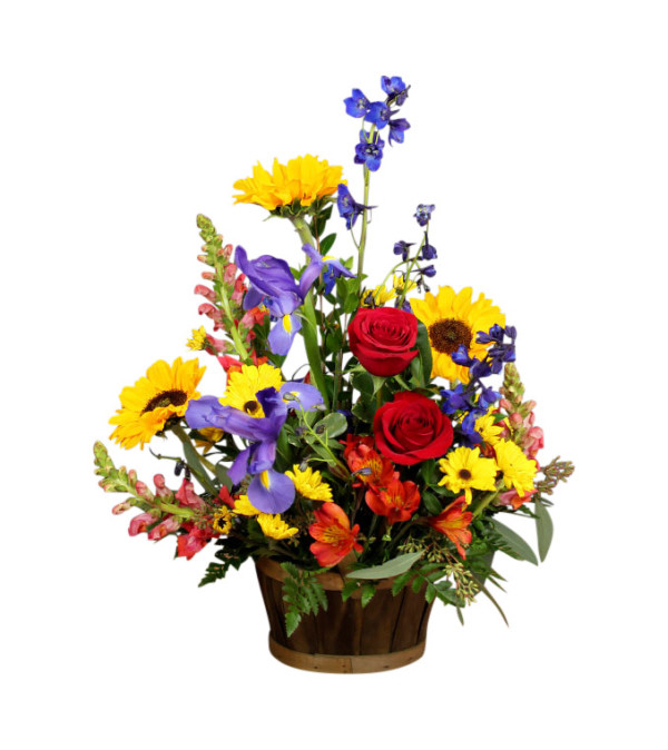 Let's Color Basket