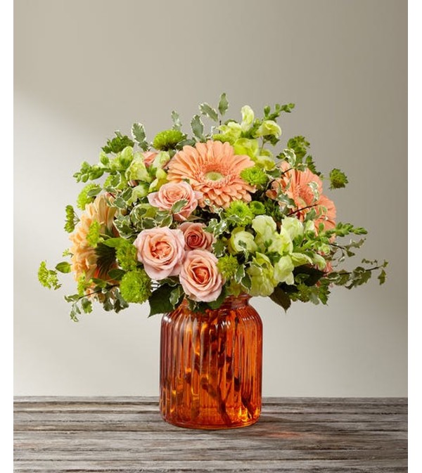 Peachy Keen By Better Homes & Gardens