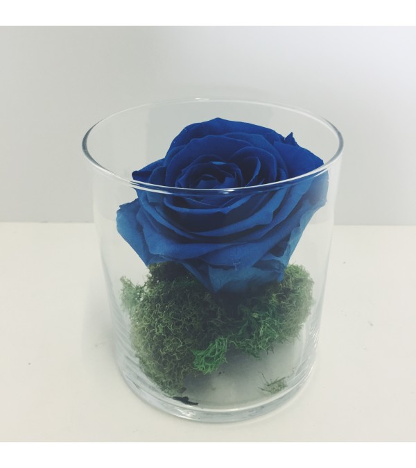 Perfectly Preserved Rose - Blue