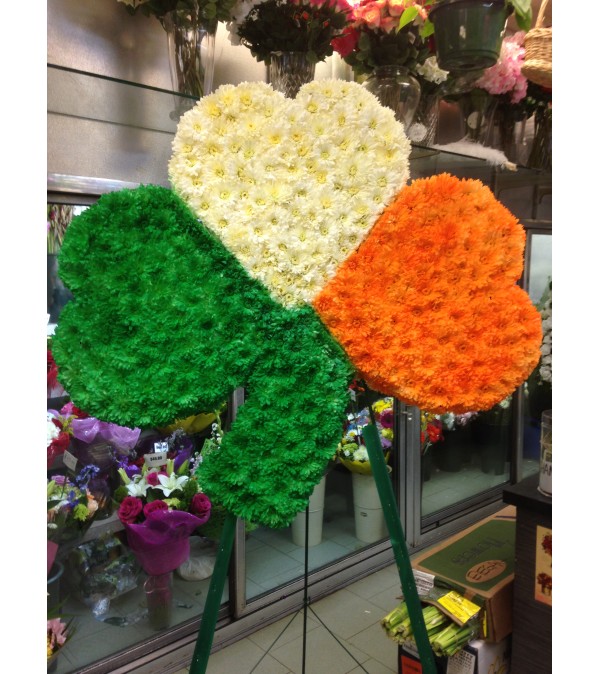 Shamrock in Irish Flag colours