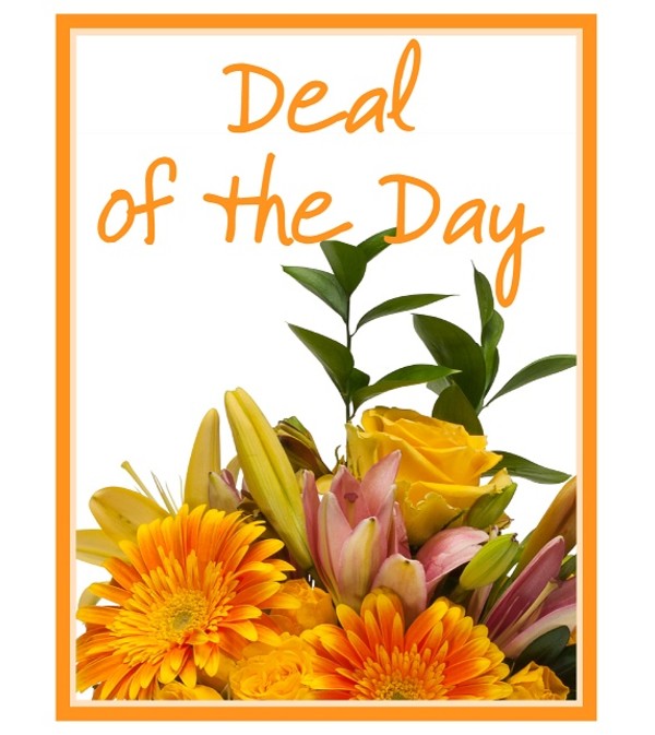 Our Deal of the Day