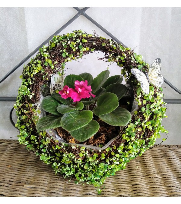 African Violet in Sisal Basket