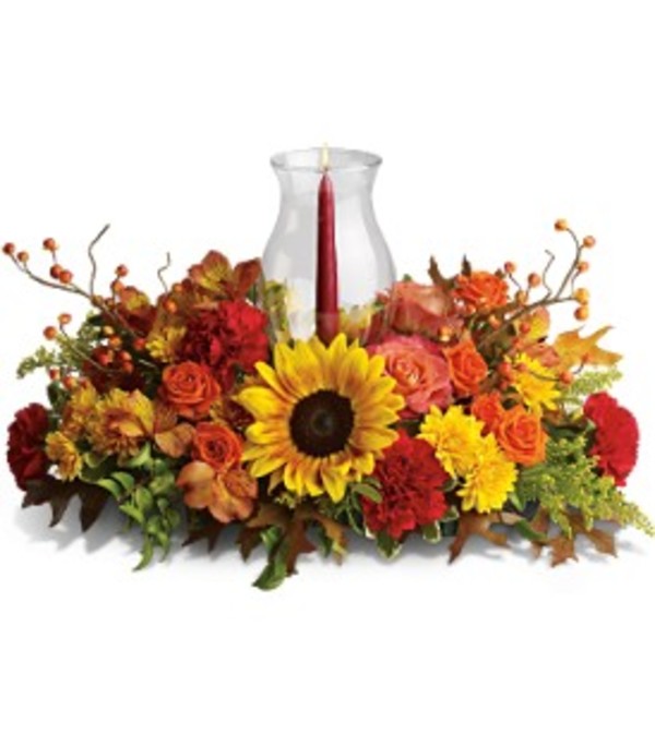 Delight Fall