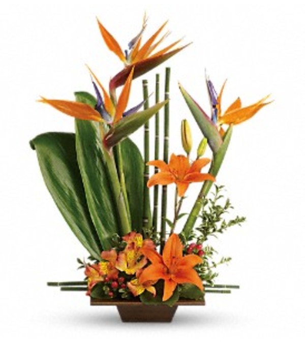 Exotic Arrangement