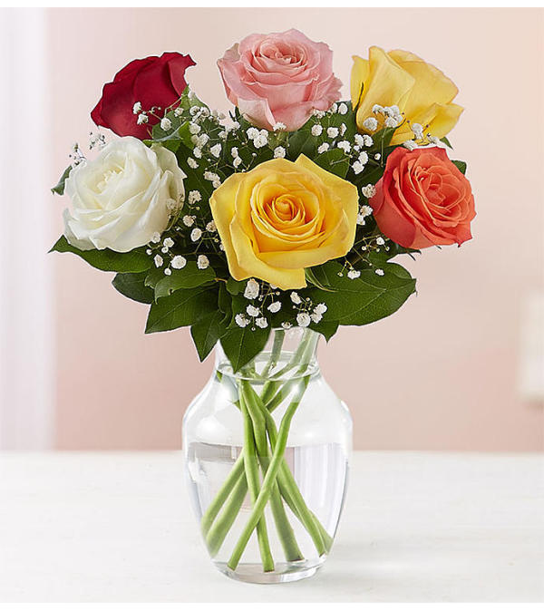 Assorted Rose Classic 6