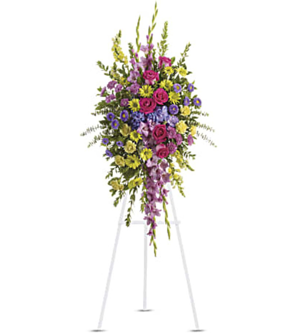 The Bright and Beautiful Spray