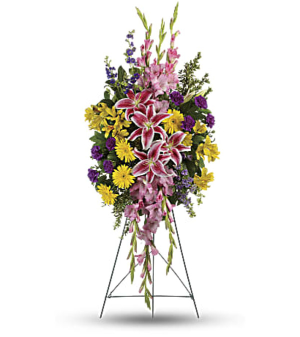 The Rainbow of Remembrance Spray