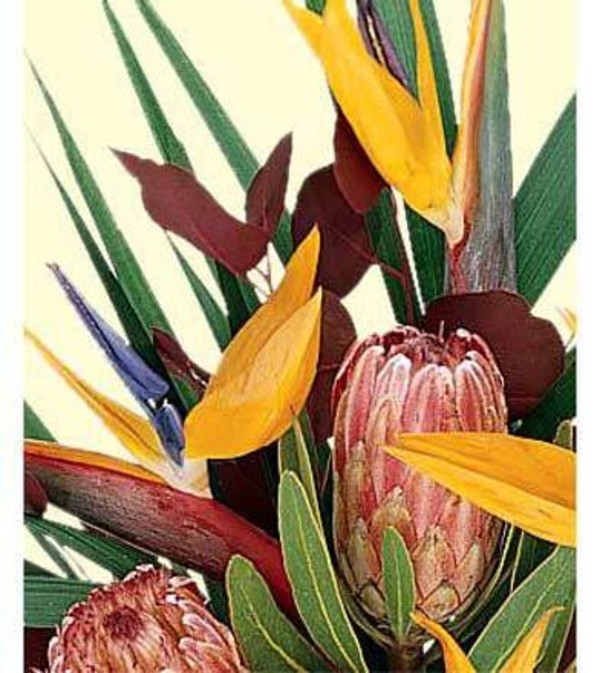 Assorted Tropical Bouquet