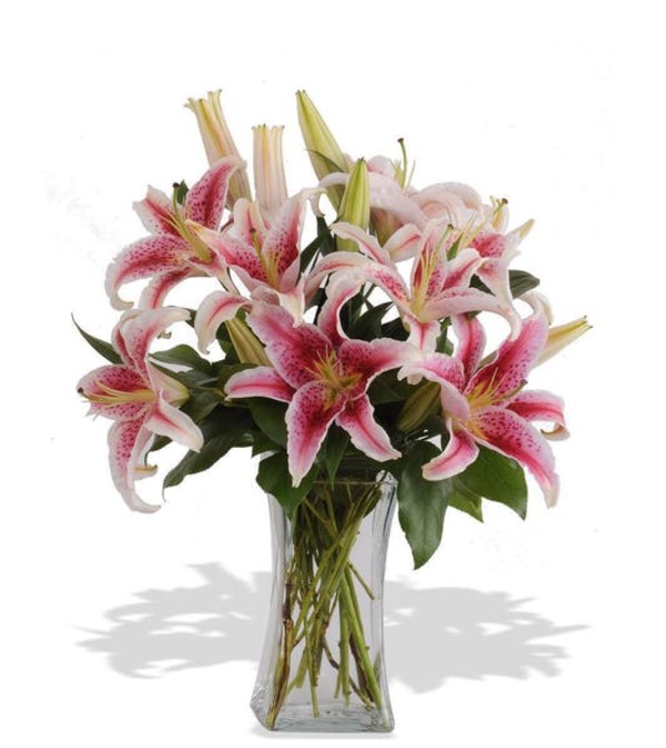 Fragrant Beauty