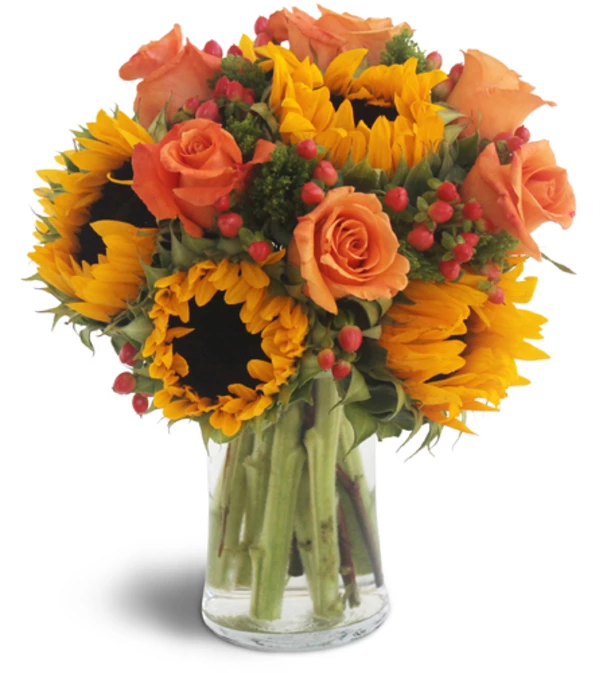 Sweet Harvest Sunflowers™ by Lovingly
