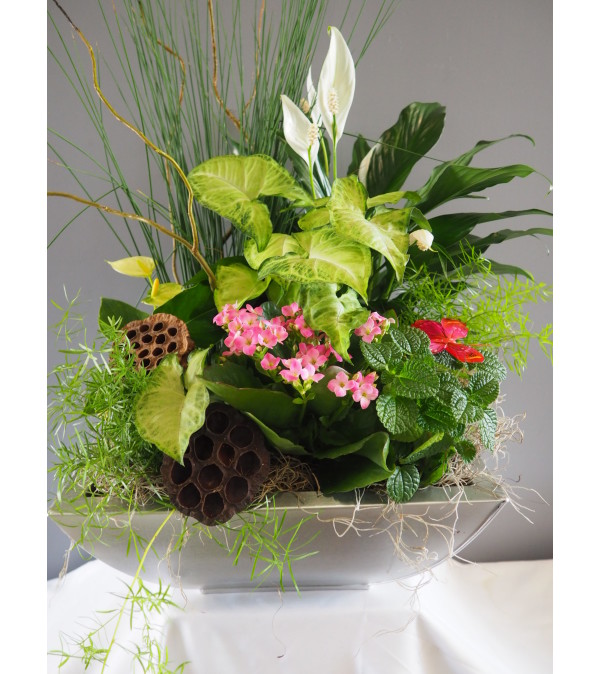 Luxurious Custom Dish Garden