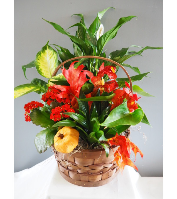 Fall Flowering Basket Arrangment