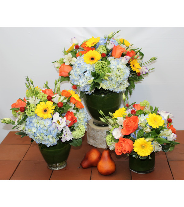 Seasonal Sensation- Designer's Choice