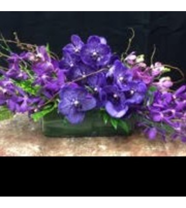 Orchid Sweep