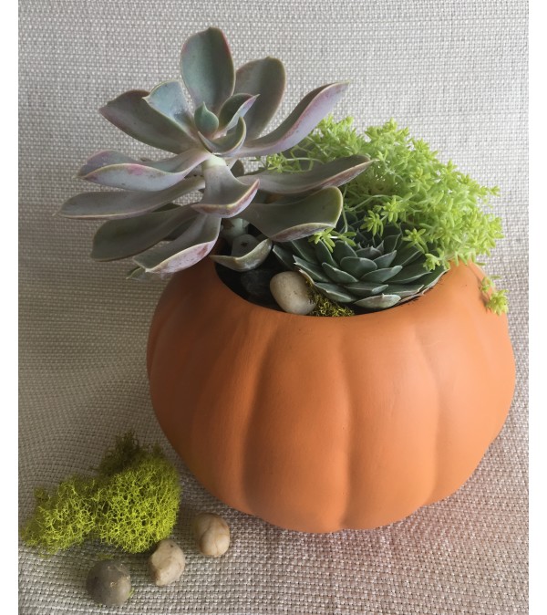 Happy Fall