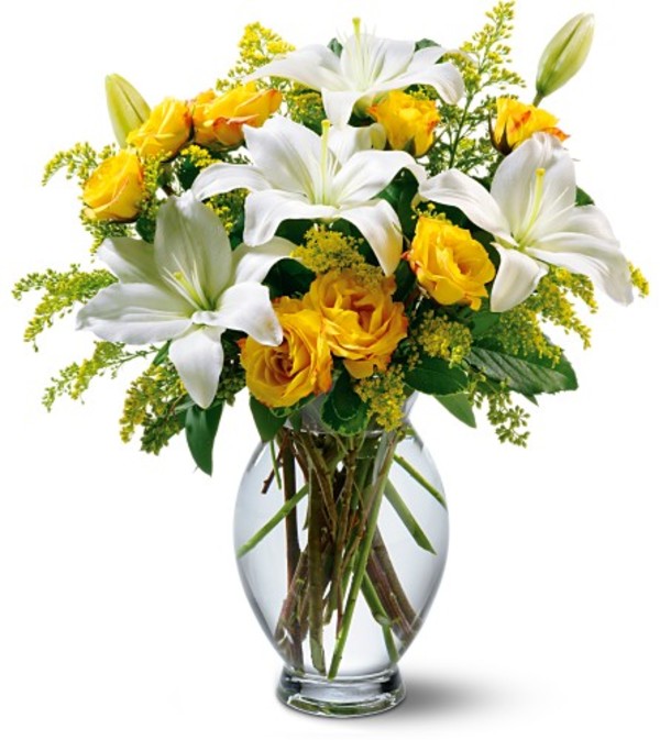 Yellow and White Sentiments