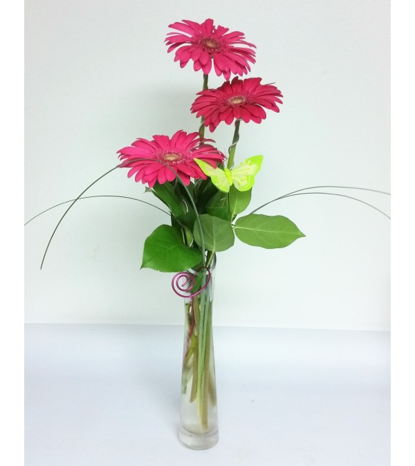 Sue's Gerberas