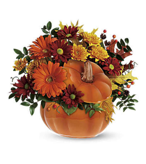 Pumpkin Country