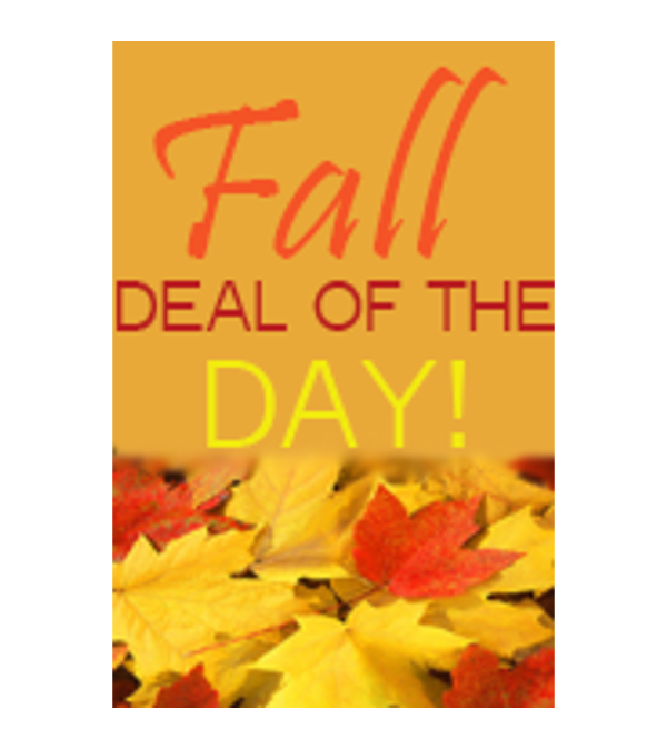 FALL Deal of the Day